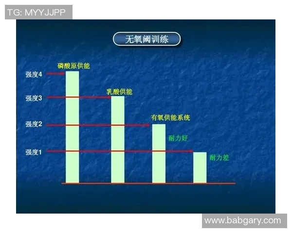 广州羽毛球队战术表现数据分析与优化策略探讨