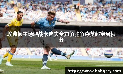 埃弗顿主场迎战卡迪夫全力争胜争夺英超宝贵积分