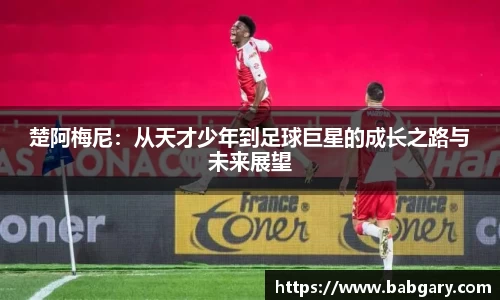 6163银河net163